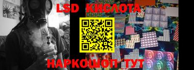 прущие грибы Будённовск