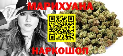 прущие грибы Будённовск