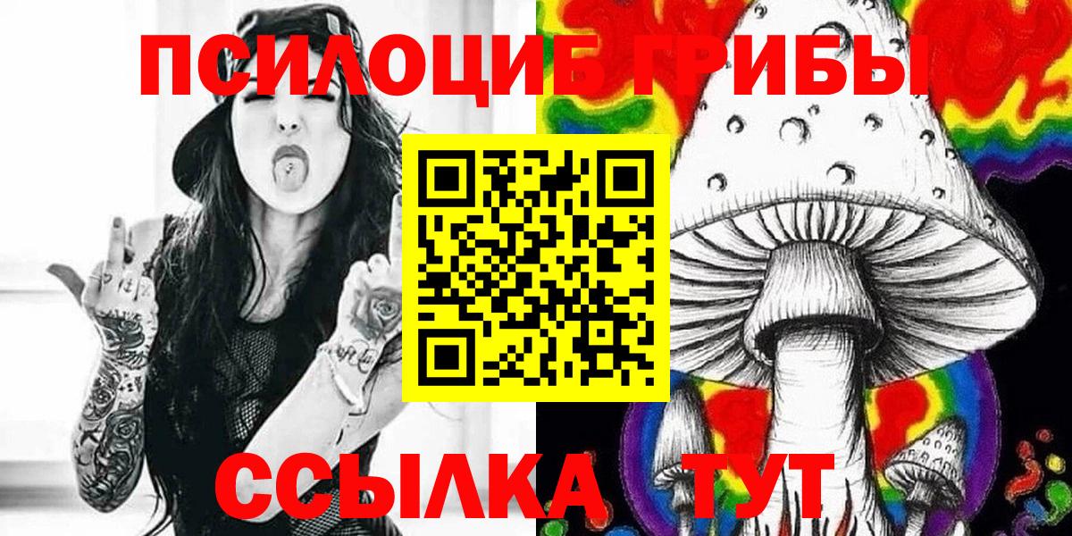 Псилоцибиновые грибы Cubensis Истра